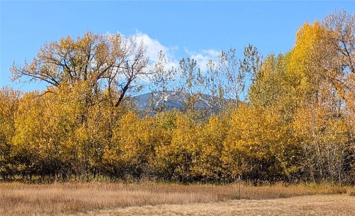 Property Photo:  2325 Diamond C  MT 59044 