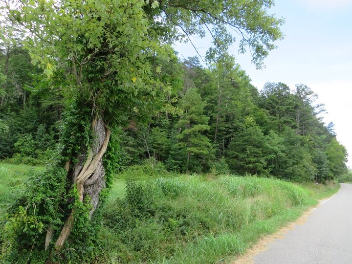Property Photo:  3534 McClure Branch  KY 41230 