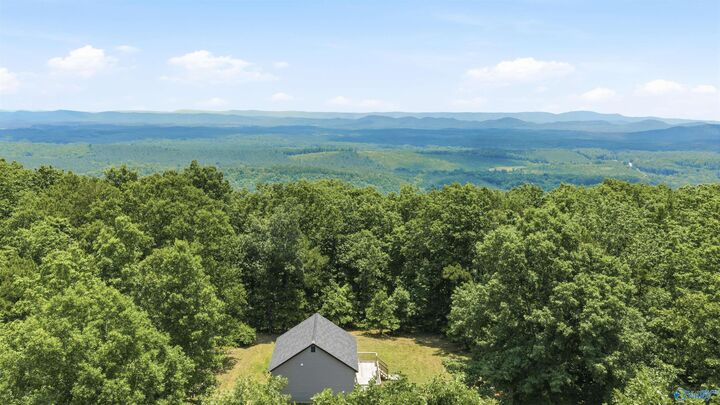 Property Photo:  773 County Road 861  AL 35973 