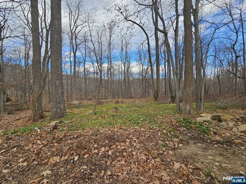 Property Photo:  34 Starlight Drive  NJ 07960 