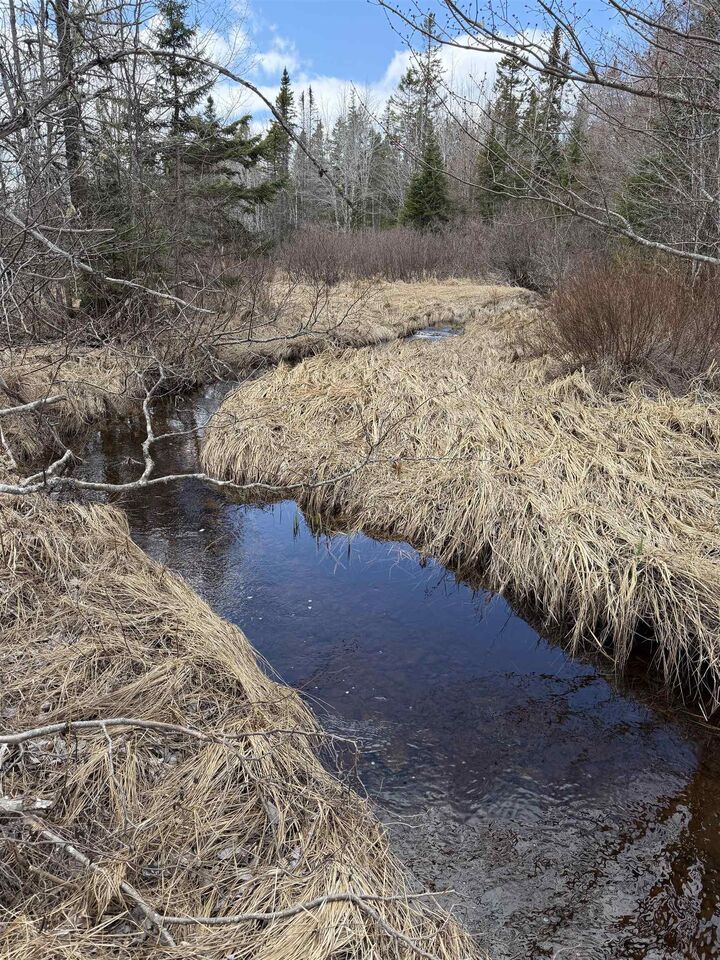 Property Photo:  Lot Cl4 Palmer Road  NS B0M 1Z0 