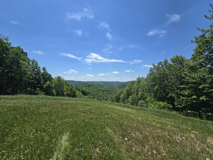Property Photo:  1785 Odell Town  WV 26681 