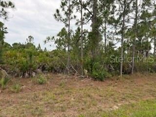 Property Photo:  12141 Mc Elroy Avenue  FL 33981 