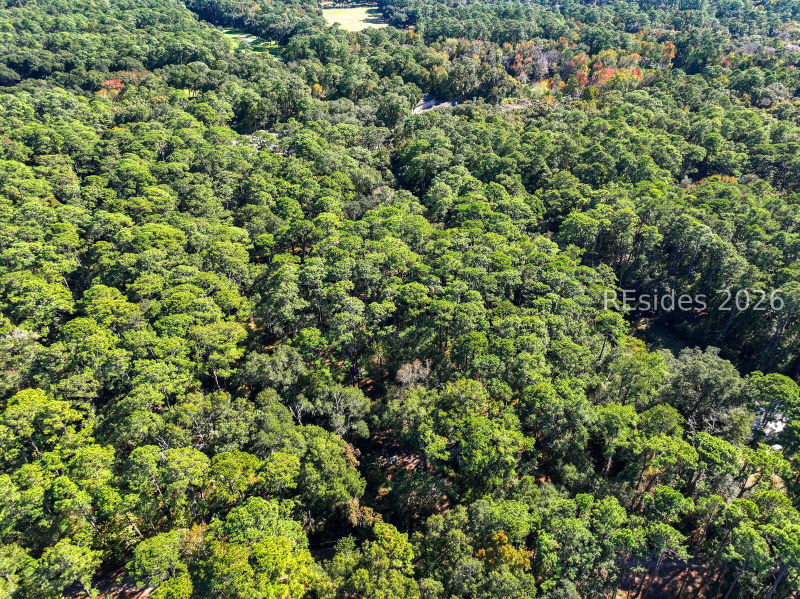 Property Photo:  293 Old Haig Point Road  SC 29915 