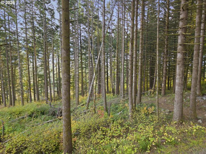 Property Photo:  0 Warren Rd 3  WA 98639 