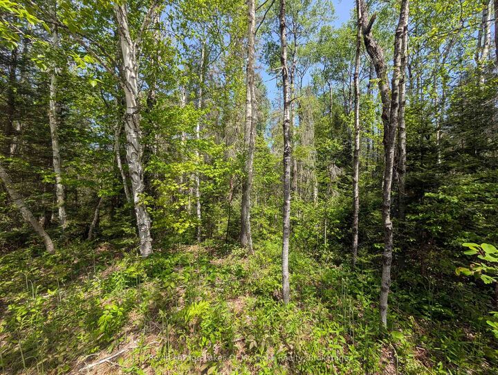 Property Photo:  10 Poplar Street  ON P0A 1X0 