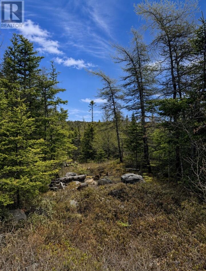 Property Photo:  241A Middle Gull Pond Road  NL A0B 1G0 