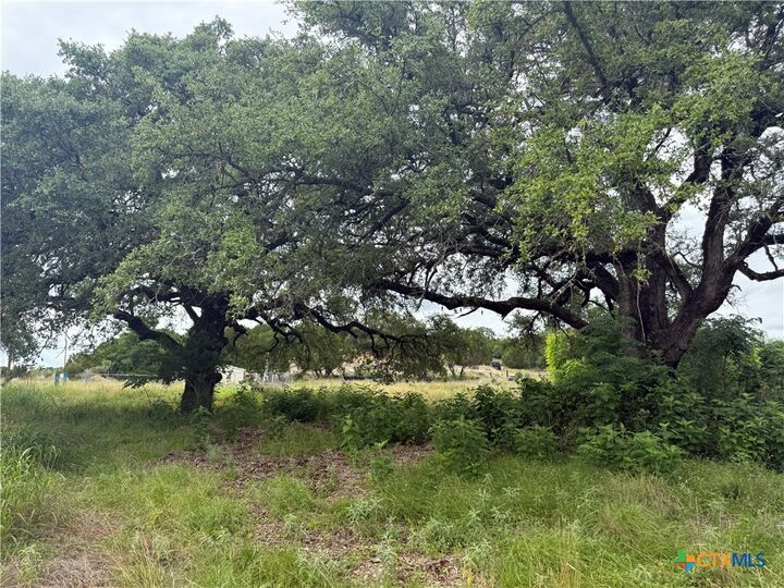 Property Photo:  16350 Cedar Valley Road  TX 76571 