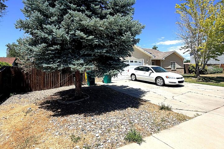 Property Photo:  741 Stone Mountain Drive  CO 81521 