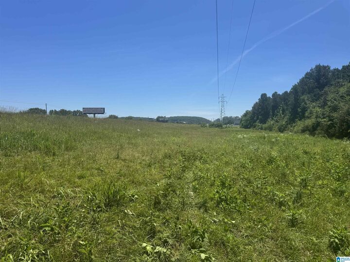 Property Photo:  0 Highway 431 0  AL 36250 