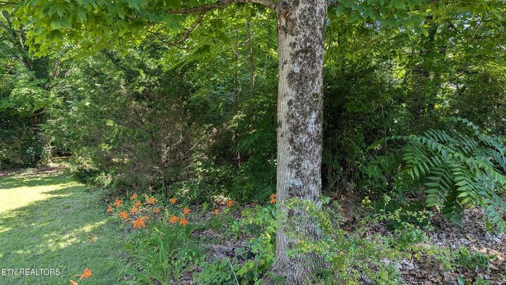 Property Photo:  Lot 27 Cedar Lane  TN 37918 