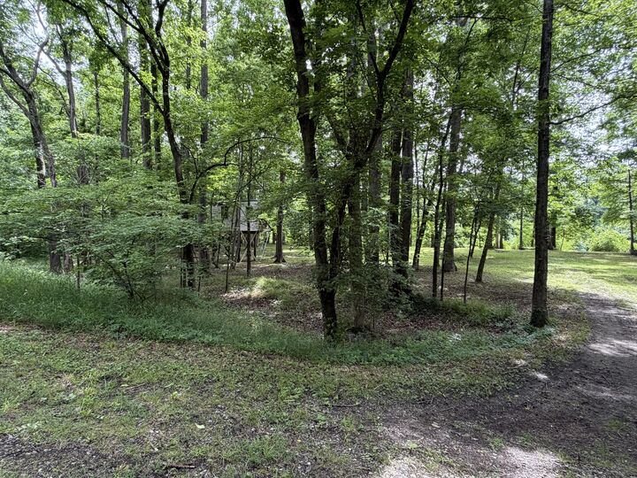 Property Photo:  00 Shoemaker Drive  IL 62966 