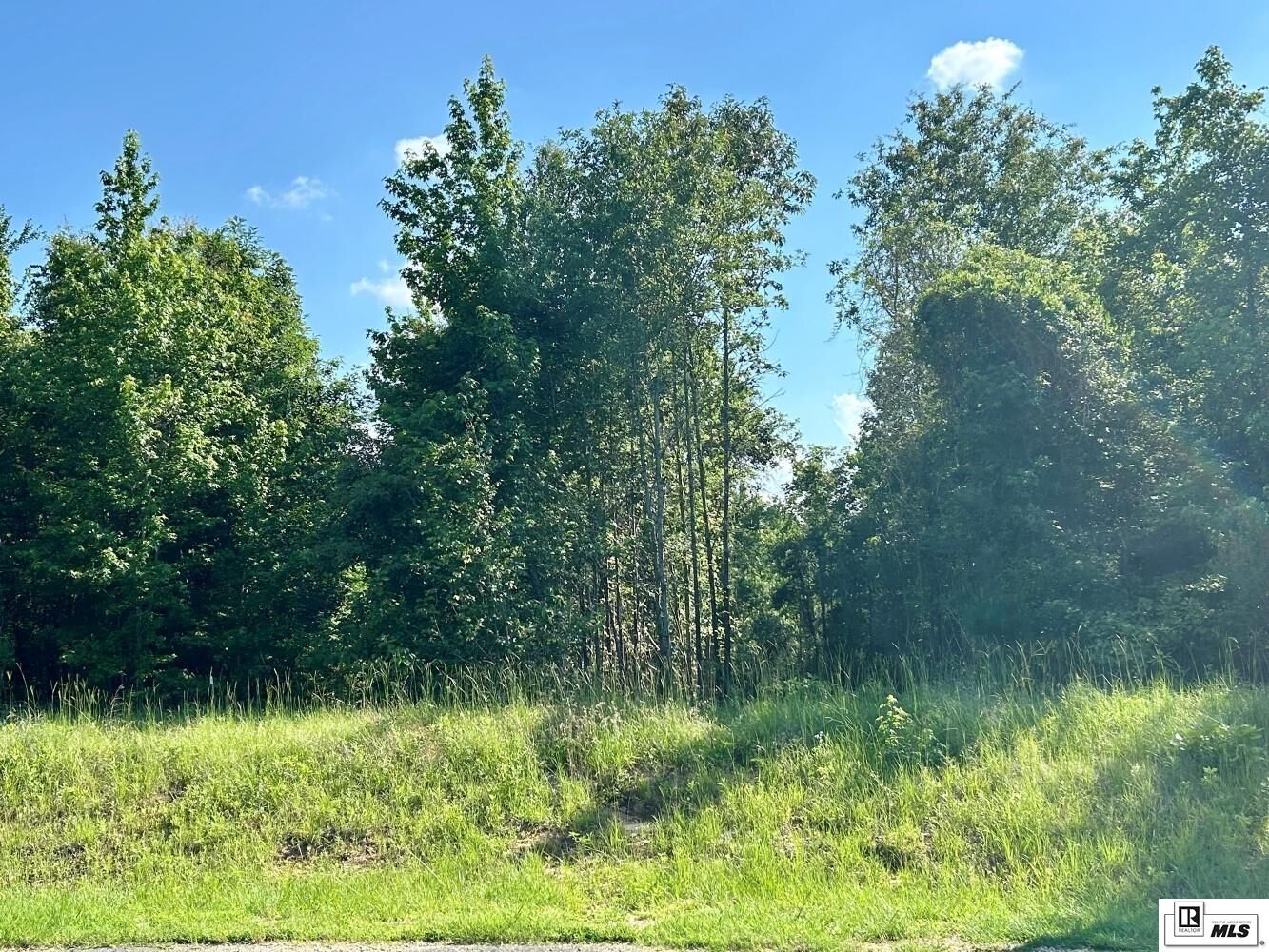 Property Photo: 000 North Pointe Drive LA 71234