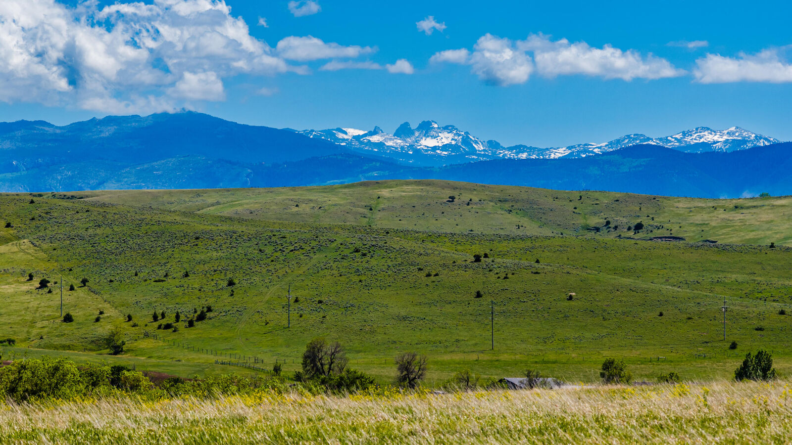 Property Photo:  Lot 19 Vista Drive  WY 82801 