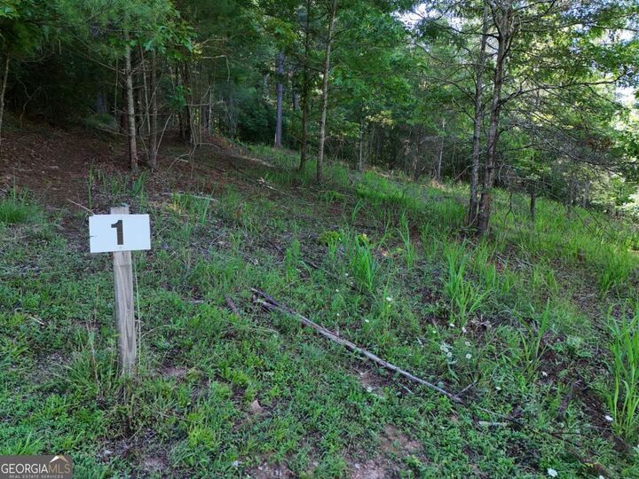 Property Photo:  Lot 1 Big Knoll Drive 1  GA 30512 
