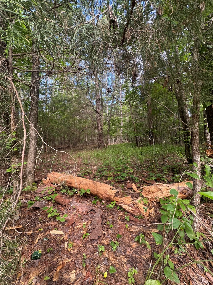 Property Photo:  0 Melody Drive  GA 31831 