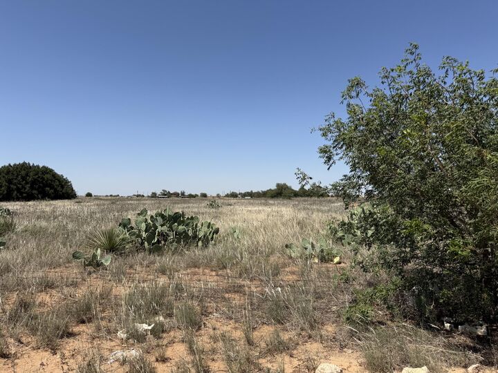 Property Photo: County Road 5825 TX 79413