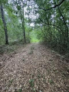 Property Photo:  11102 Coleman Road  MS 39503 