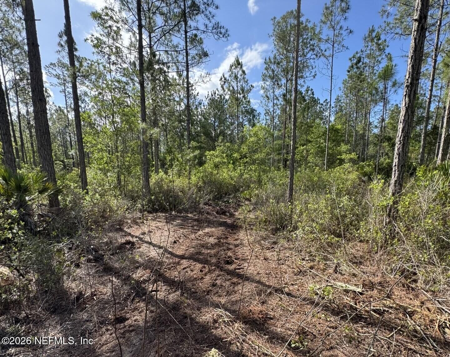 Property Photo:  114 Womp Lane  FL 32177 