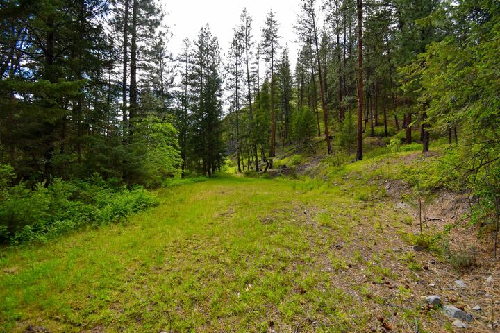 Property Photo:  Tract 1 Henry Creek Road  MT 59859 