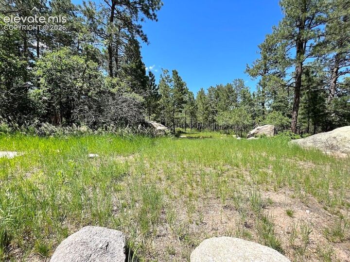 Property Photo: 584 Silver Oak Grove CO 80906