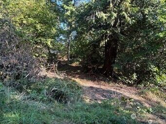 Property Photo:  41 E Soundview Drive  WA 98584 