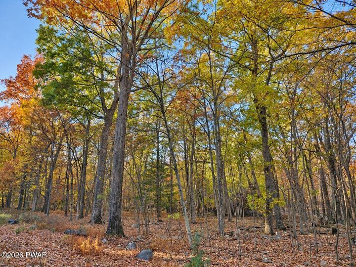 Property Photo:  105 Duffys Drive  PA 18328 