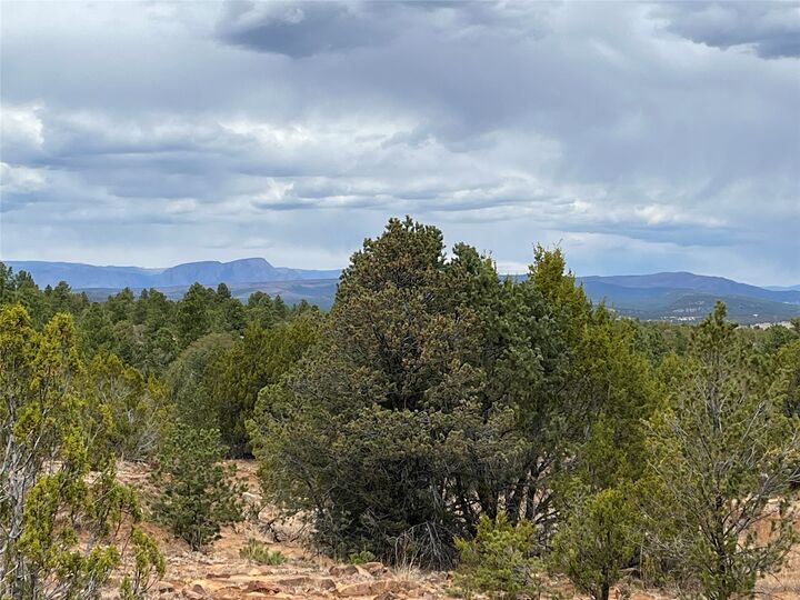 Property Photo: 36 Blue Sky Road Lot 2 NM 87701