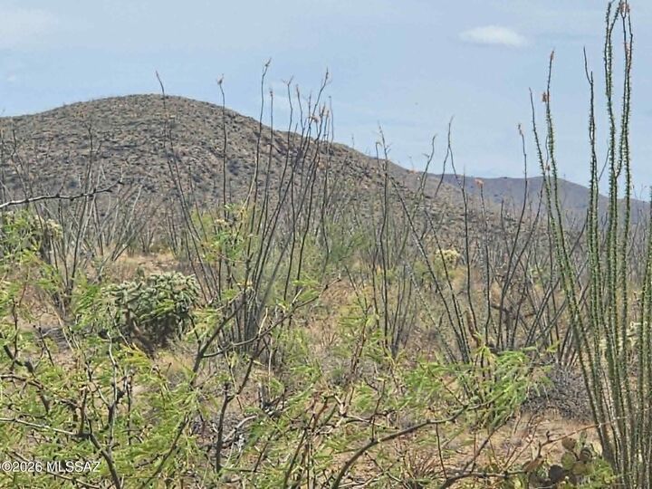 Property Photo:  14921 W Pyle Road 498  AZ 85736 