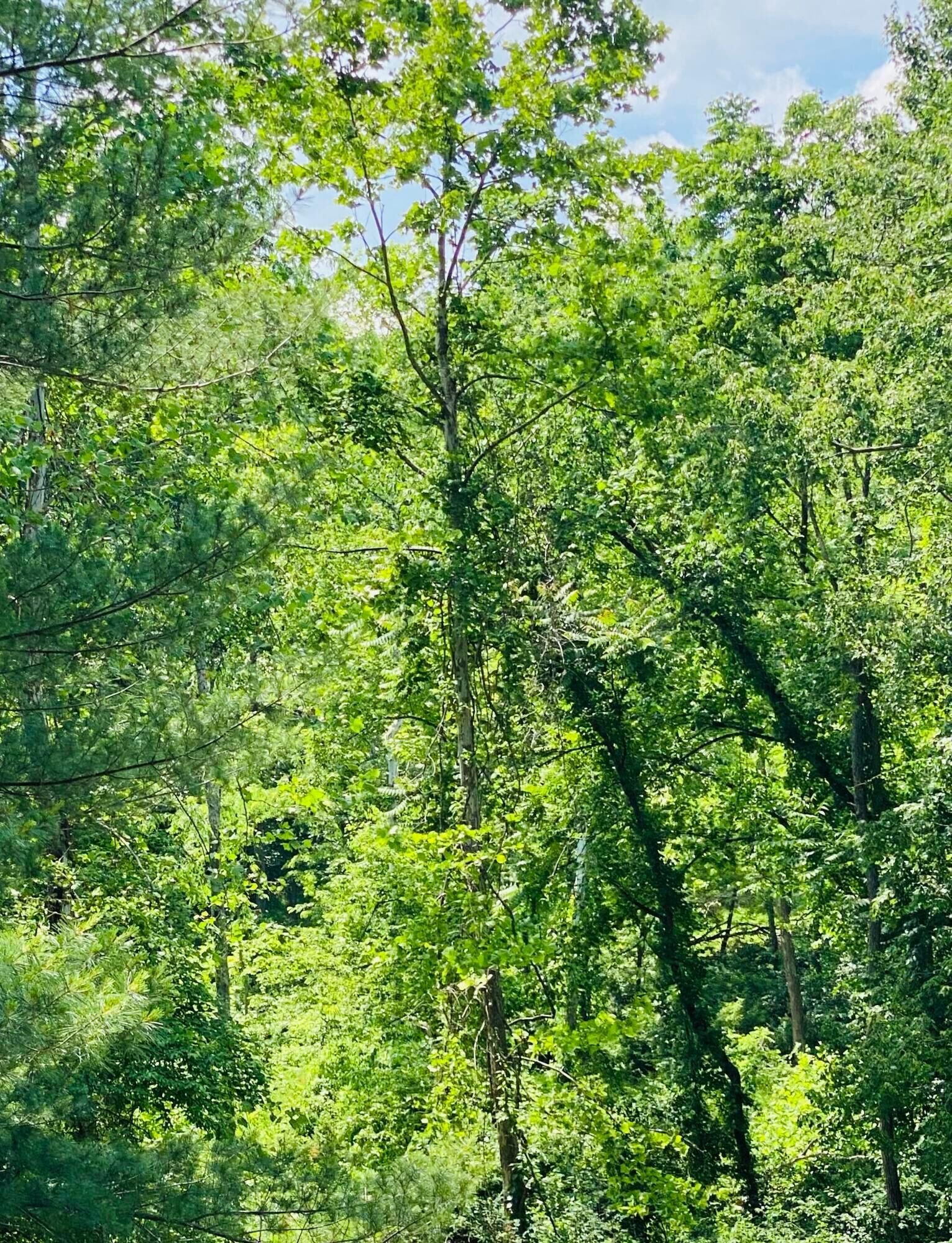 Property Photo:  4744 Spring Hill SE Road  OH 43055 