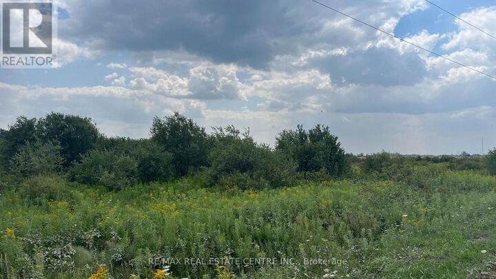 Photo de la propriété:  681044 260 Sideroad  ON L9V 2M7 