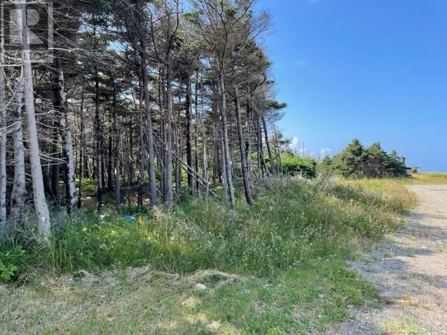 Property Photo:  16 Beach Street  NL A0N 2C0 