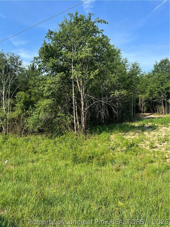 Property Photo:  0 Produce Market Rd Road  NC 28352 