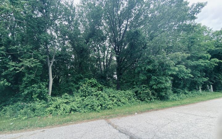 Property Photo:  0 Cory Avenue  IN 46360 