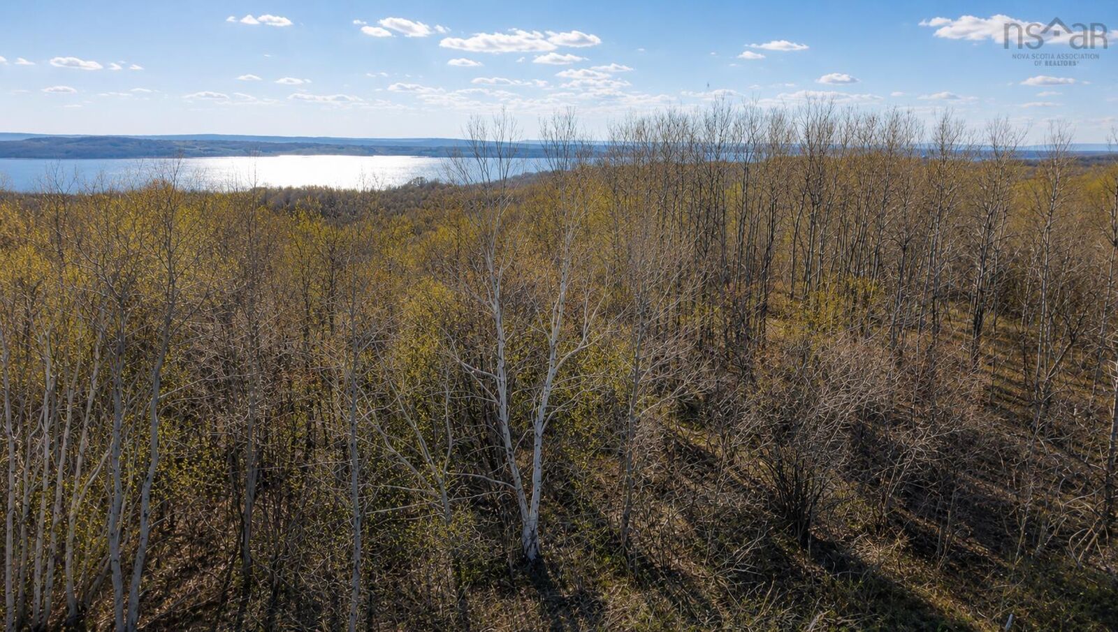 Property Photo:  Lot 1 Cornishtown Road  NS B1N 3K1 