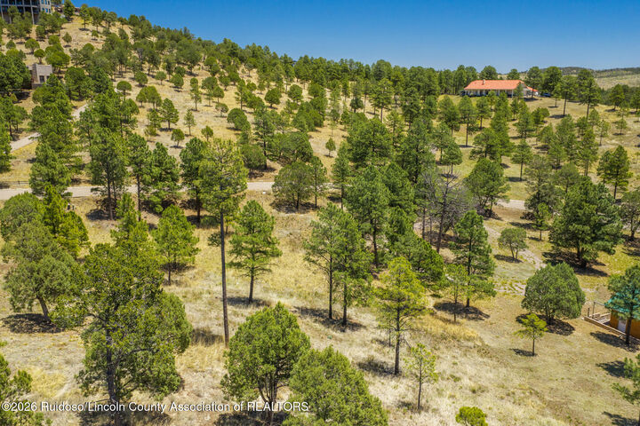 Property Photo:  133 Charles McClellan Drive 4  NM 88345 