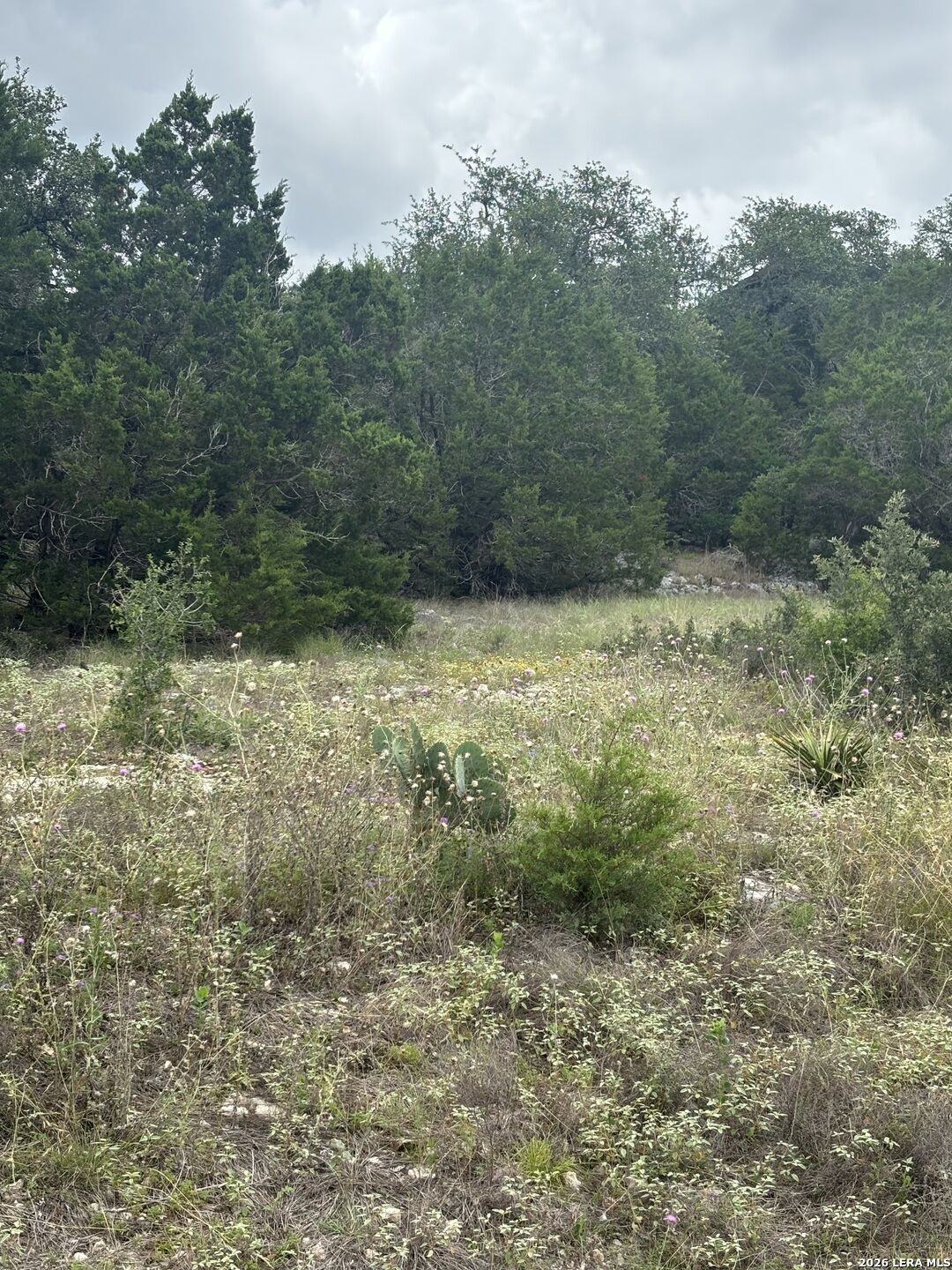 Property Photo: 1328 Powder Ridge Rd TX 78132