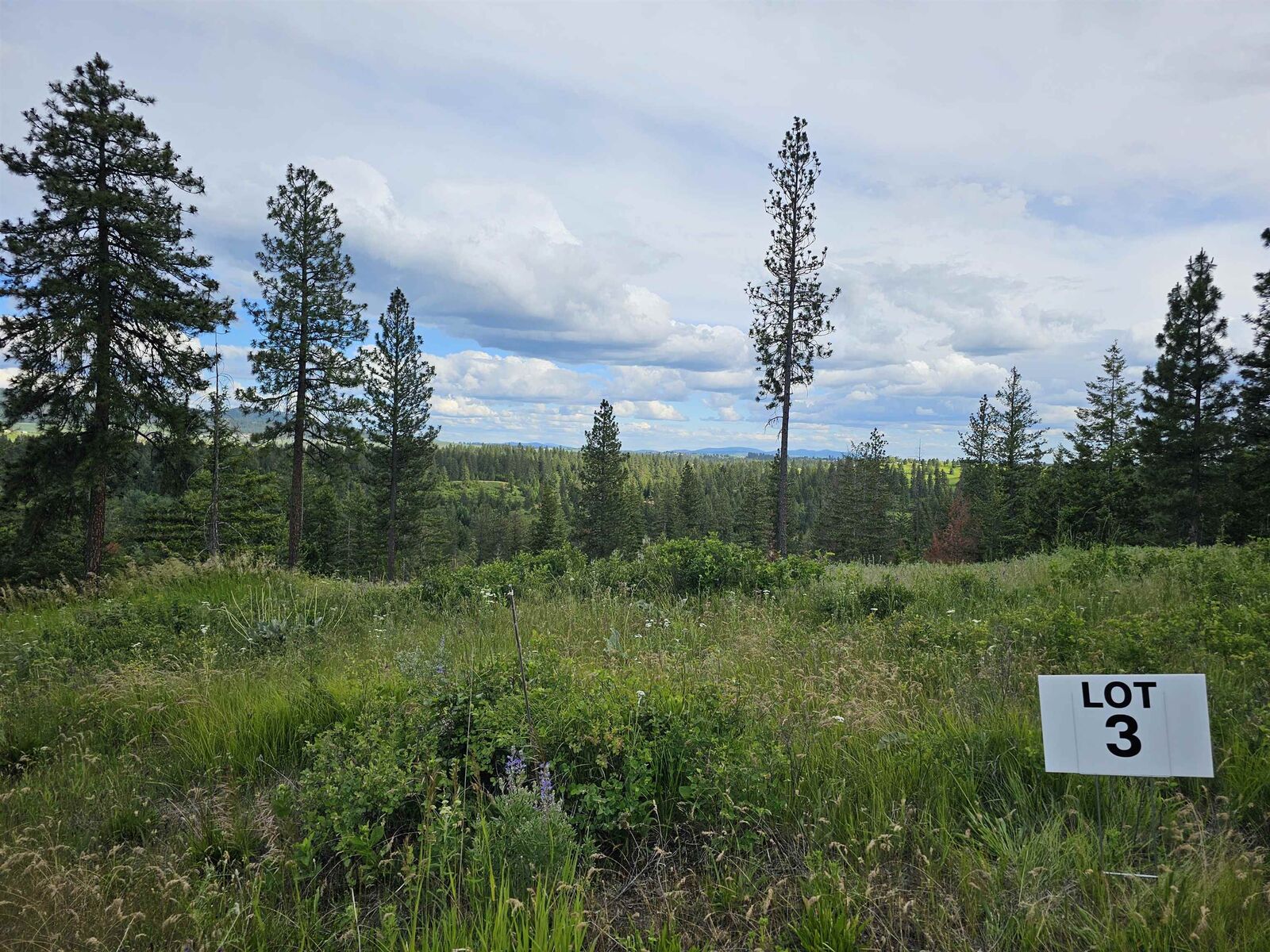 Property Photo: Nna S Sands Rd Lot 3 WA 99036