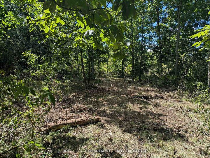 2621 4th Concession Road — photo 1