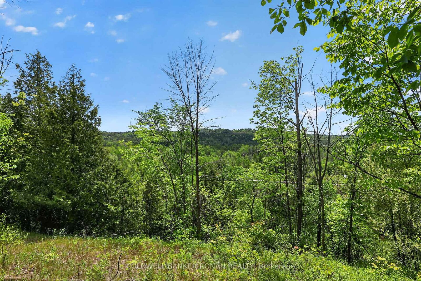 Property Photo: 2946 Concession Rd 3 N/A ON L0G 1L0