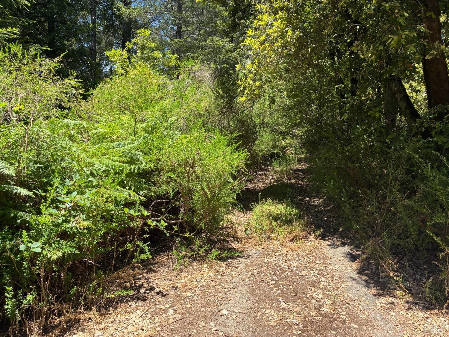 Property Photo:  30 Sunrise Mountain  CA 95421 
