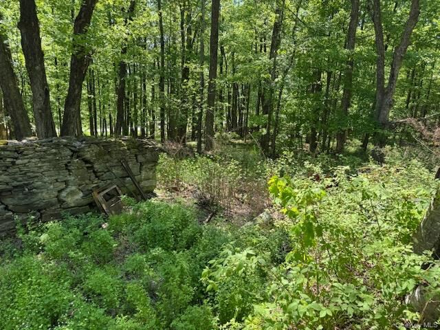 Property Photo:  00 Polster  NY 12726 