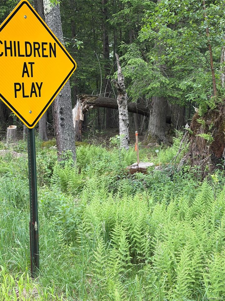 Property Photo: 651 Creamery Road NY 12701
