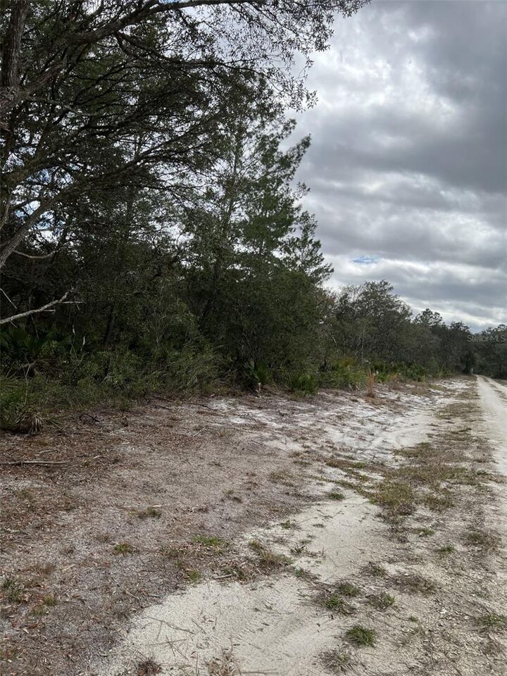 Property Photo:  0 NE 144th Court  FL 32134 