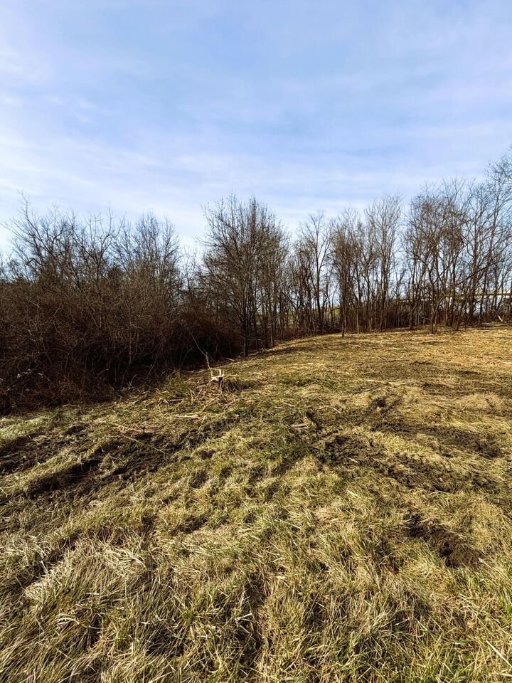 Property Photo: 0.55 Ac N N Main Street KY 41097