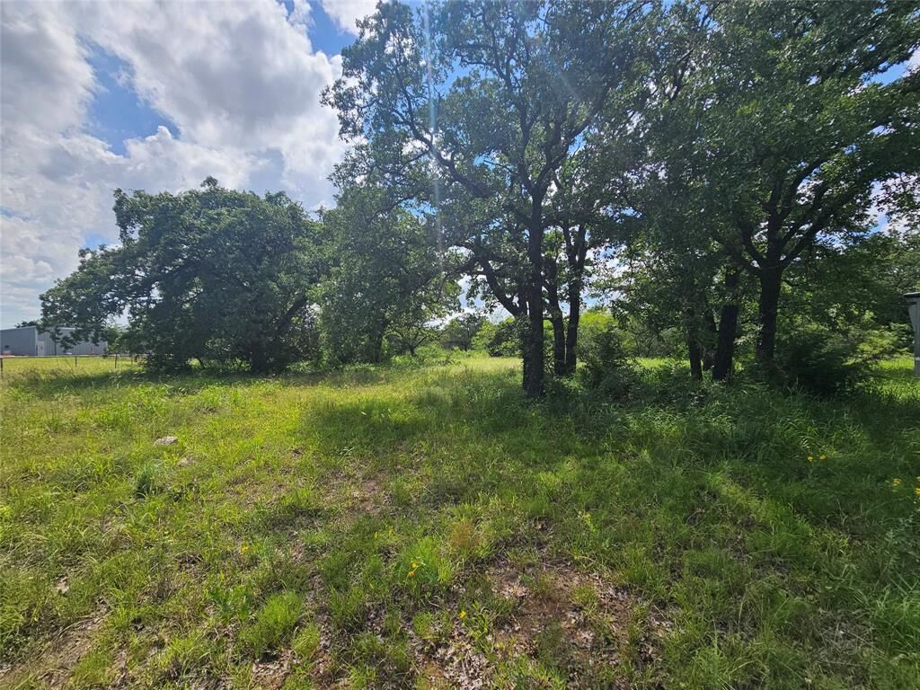 Property Photo: 8022 S Fm 51 TX 76023
