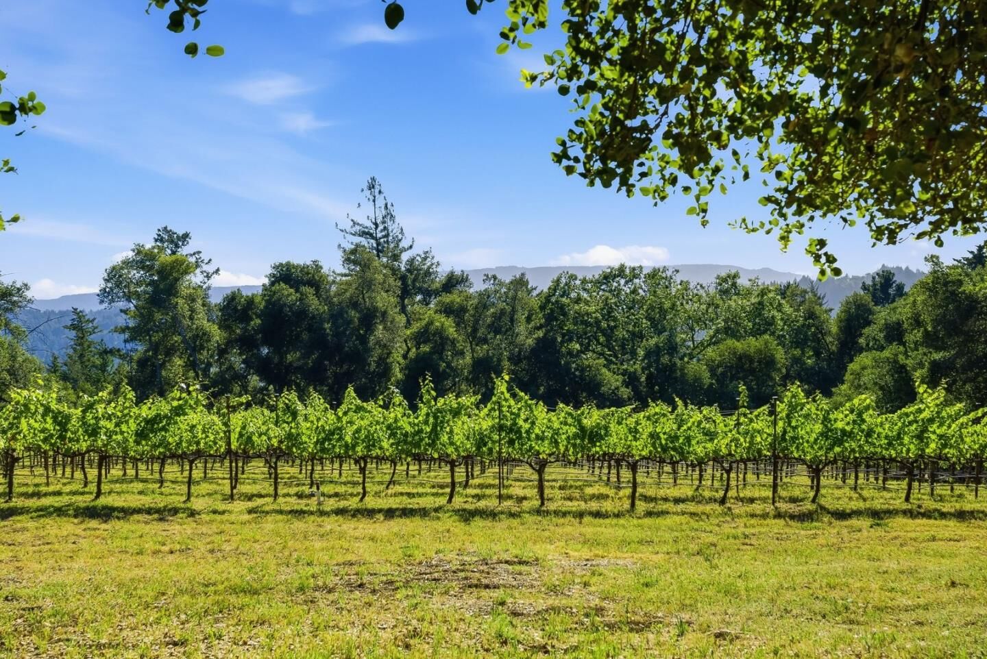 Property Photo:  0 Miller Hill Road  CA 95033 