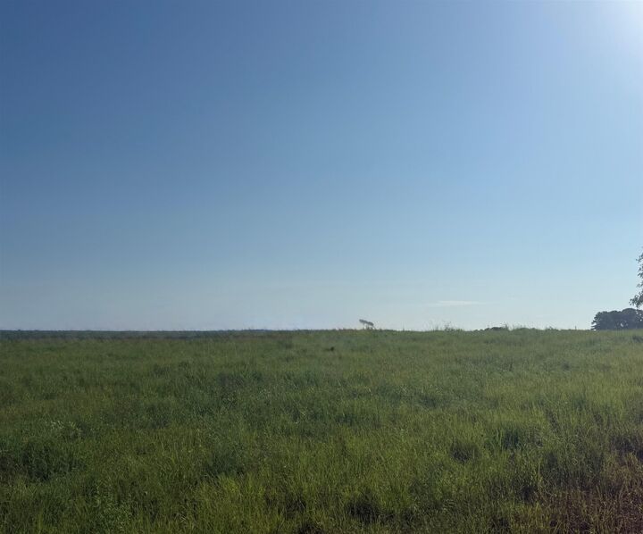 Property Photo:  Lot 32 Co Rd 1464  AL 35058 