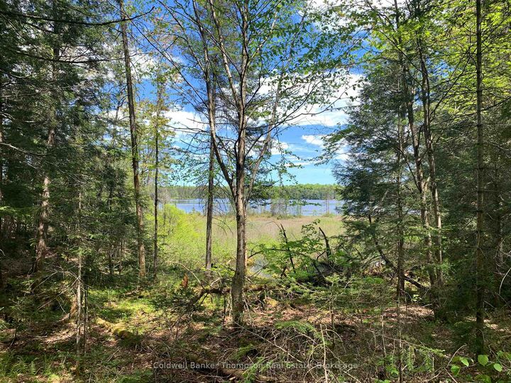 Lot 16 Maxwell Lane — photo 1