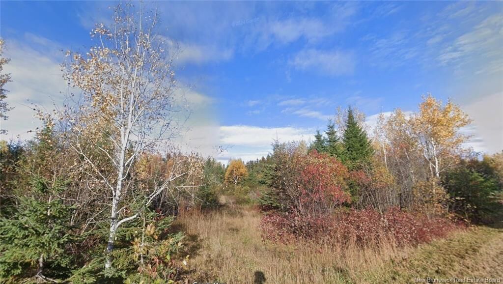 Property Photo: Lot Laurenzo Huard Street NB E8B 1Y6